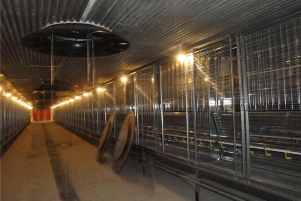 Biomassa verwarming voor varkens- en kippenkwekerijen