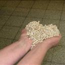 Centrale verwarming op pellets - biomassa